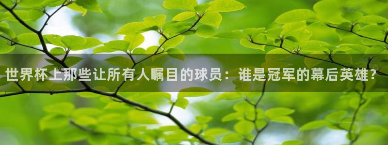 2026年世界杯赛程：世界杯上那些让所有人瞩目的球员：谁是冠军的幕后英雄？