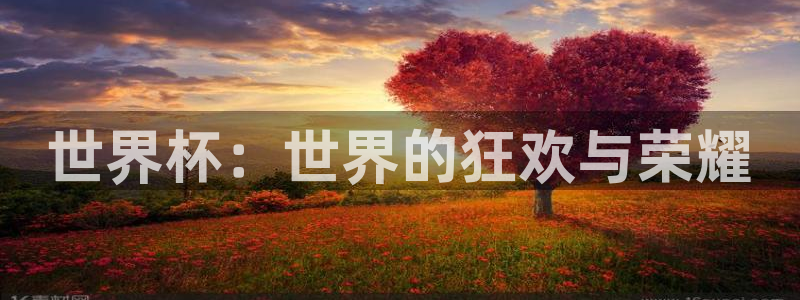 世俱杯直播：世界杯：世界的狂欢与荣耀