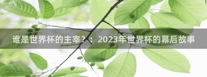 2026 世界杯：谁是世界杯的主宰？：2023年世界杯的幕后故事