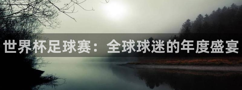 世界杯系列赛：世界杯足球赛：全球球迷的年度盛宴