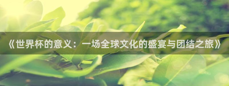 世界杯赛程2026：《世界杯的意义：一场全球文化的盛宴与团结之旅》