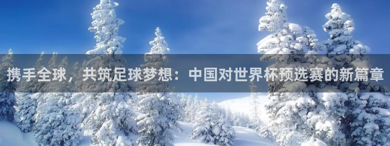 世界杯欧洲预选赛：携手全球，共筑足球梦想：中国对世界杯预选赛的新篇章