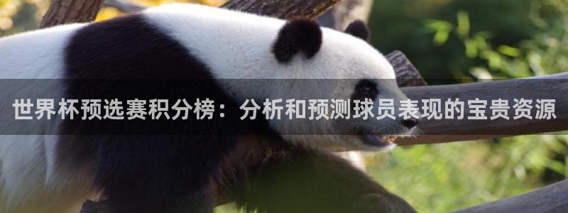 女足世界杯直播在线观看免费高清：世界杯预选赛积分榜：分析和预测球员表现的宝贵资源