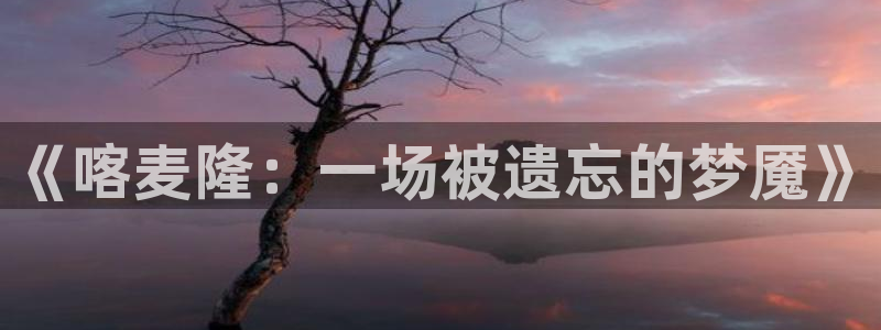 世界杯欧洲区世预赛赛程：《喀麦隆：一场被遗忘的梦魇》